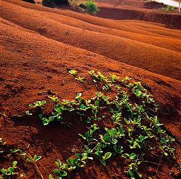 《战地2042》论坛管理团队：喷子太多，专区或将关闭